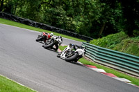 Advanced Group White Bikes
